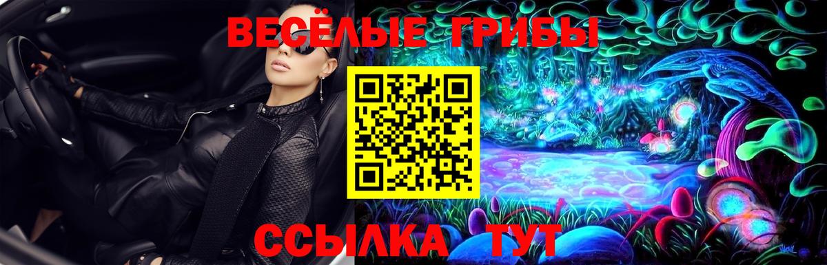 Новодвинск  Псилоцибиновые грибы мицелий  как найти   Псилоцибиновые грибы мицелий  Вход с VPN 